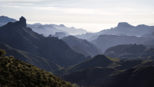 Trusting guidance