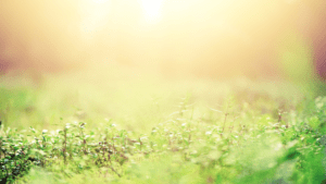 Healing Miracles