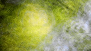 Healing through holy encounters