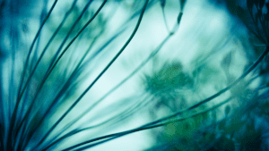 Dissolving anger into compassion
