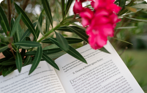 becoming a miracle minded healer